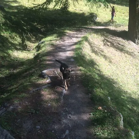 بيت للعطل لو برييت *