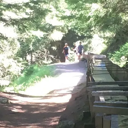 لو برييت * فييسوناز