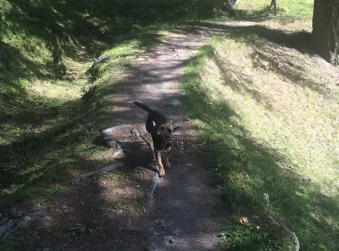 Nyaraló Le Preyet *