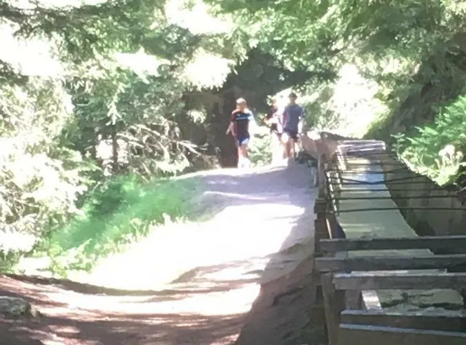 Le Preyet * Veysonnaz